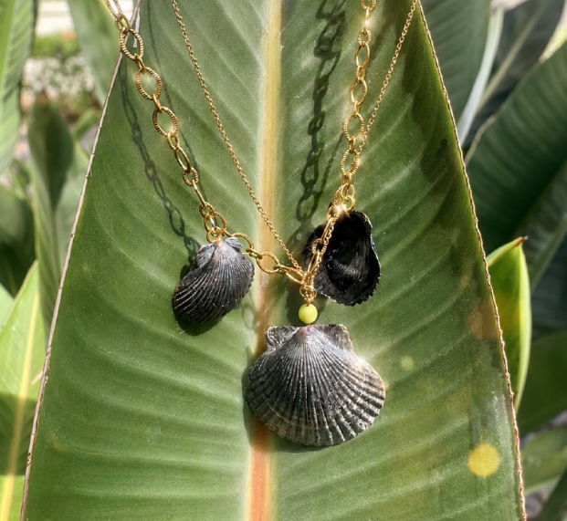 Protective Shell Jewelry Shop