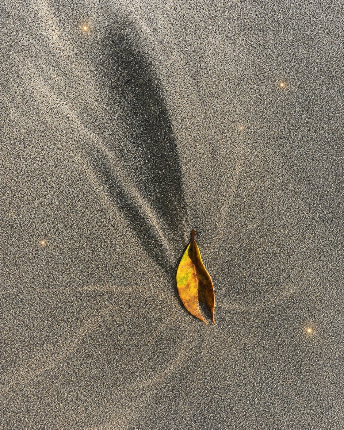 Spirit guided leaf path on sand